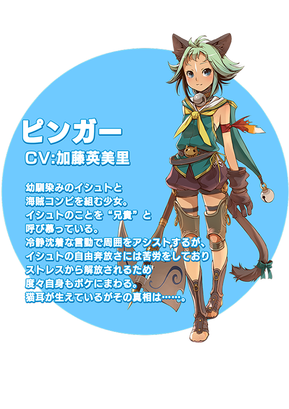 ピンガー説明文